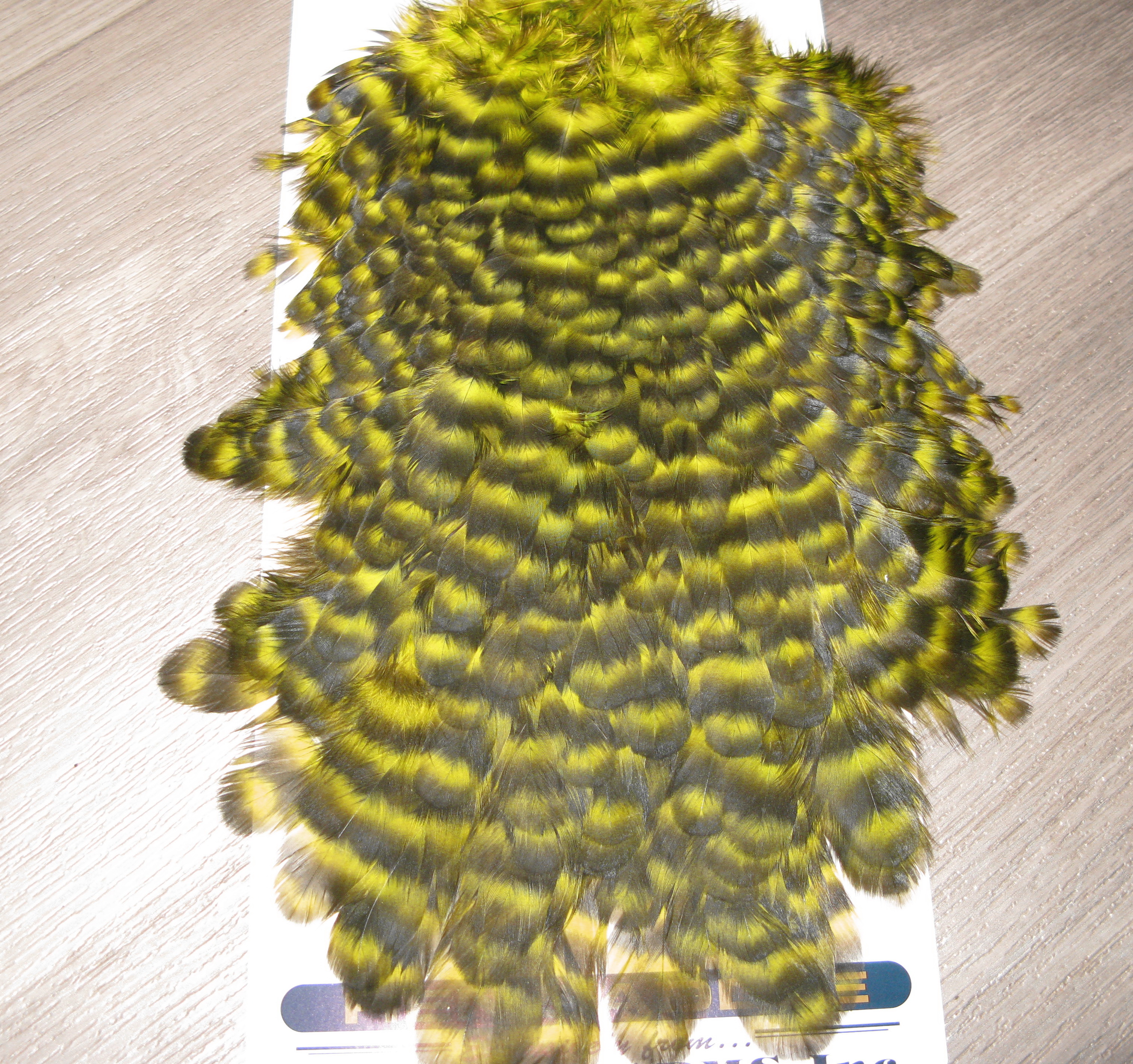 American hen saddle grizzly / fl yellow chartreuse  Whiting